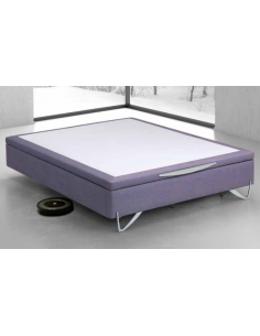 CARINA CTY
